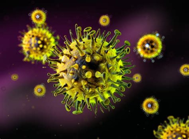 COVID-19: Current Norovirus Outbreak Map 2024